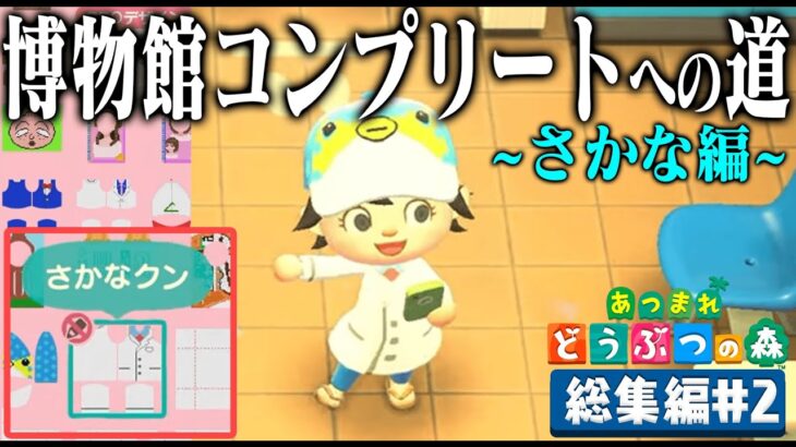 ドコムスの「あつまれどうぶつの森～博物館コンプリート～さかな編」総集編#2【ドコムス切り抜き】