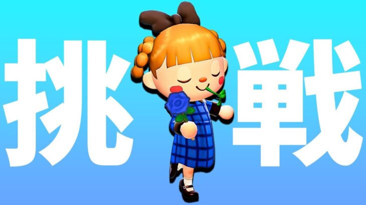 2枠目【あつ森】ゼロから「青バラ」を咲かせましょう【最難関】