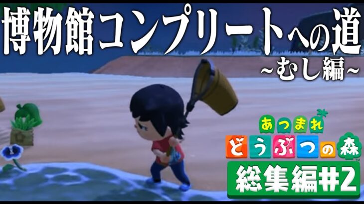 ドコムスの「あつまれどうぶつの森～博物館コンプリート～むし編」総集編#2【ドコムス切り抜き】