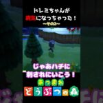 【 #あつ森 】ドレミちゃんが病気になっちゃった！～その2～ #shorts #あつまれどうぶつの森  #切り抜き #ゲーム実況 #ゲーム #けいとかんな劇場