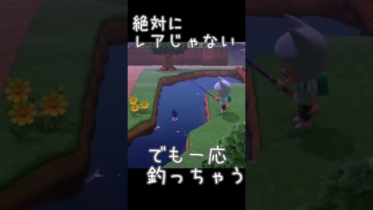 分かってるけど釣っちゃう【あつ森】20250513