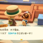 【#あつ森】2025/5/26　#カブ　534ベル　#フレ限　17時くらいまで