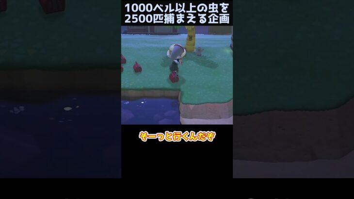 【あつ森】≪虫2500匹企画≫　超レア虫リベンジ！！　　　　　　　　　　 #あつ森　 #ゆっくり実況　 #どう森