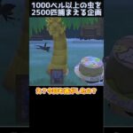 【あつ森】≪虫2500匹企画≫　超レア虫リベンジ②　　　　　　　　　　　 #あつ森　 #ゆっくり実況　 #どう森