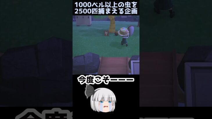 【あつ森】≪虫2500匹企画≫　いつになったら名前がわかるのか…　　　　　　　　　　　　 #あつ森　 #ゆっくり実況　 #どう森
