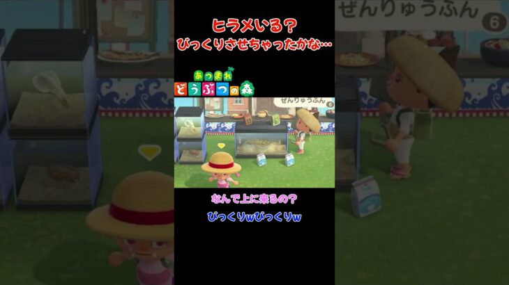 ヒラメいる？びっくりさせちゃったかな…【あつまれ どうぶつの森(おすそ分け・2人プレイ)】#shorts #あつ森 #夫婦実況 #ゲーム実況