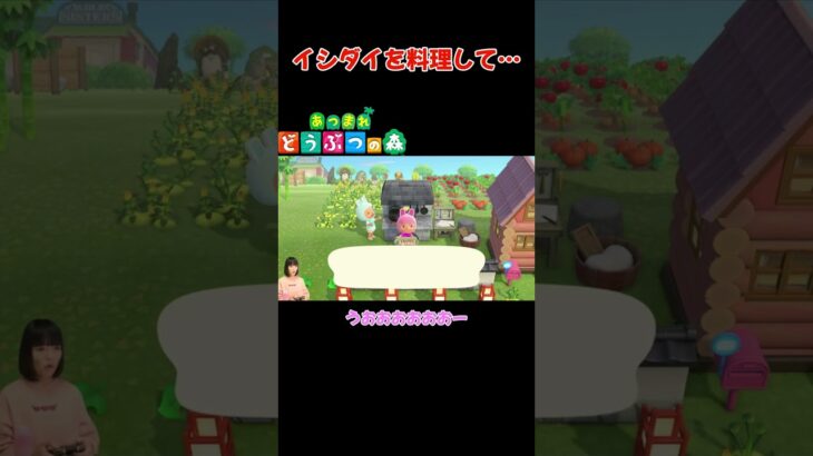 イシダイを料理して…【あつまれ どうぶつの森(おすそ分け・2人プレイ)】#shorts #あつ森 #animalcrossing #夫婦実況 #ゲーム実況