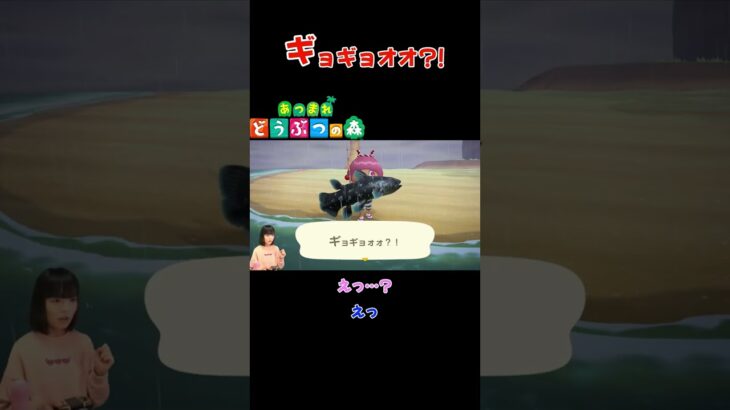 ギョギョォォ？！【あつまれ どうぶつの森(おすそ分け・2人プレイ)】#shorts #あつ森 #animalcrossing #夫婦実況 #ゲーム実況