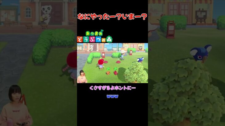 なにやったー？いまー？【あつまれ どうぶつの森(おすそ分け・2人プレイ)】#shorts #あつ森 #animalcrossing #夫婦実況 #ゲーム実況