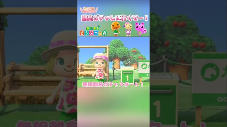 「あつ森」離島でターゲット3人に会いに行こう❤︎#あつまれどうぶつの森 #離島ガチャ