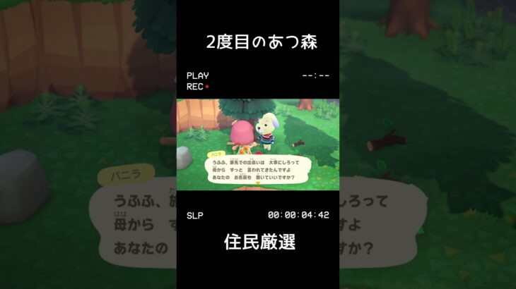 またあつ森始めました！32連で出会う住民は？　#あつまれどうぶつの森  #住民厳選  #shorts