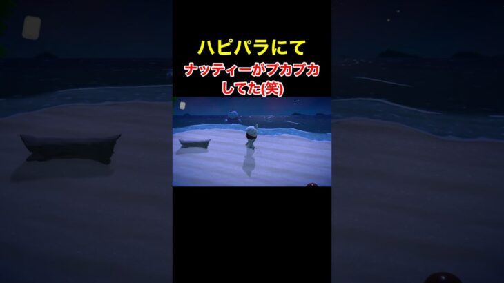 【ハピパラにて…あつ森#383】#shorts#switch#あつ森#あつまれどうぶつの森#ゲーム