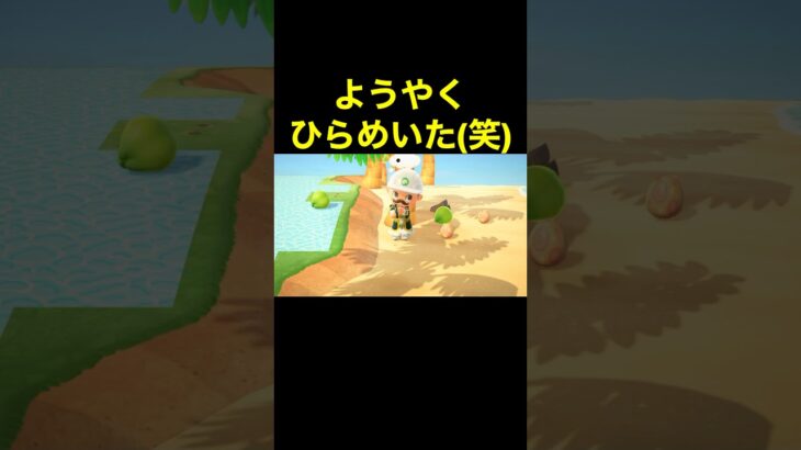 【ようやく閃いた(笑)あつ森#398】#shorts#switch#あつ森#あつまれどうぶつの森#ゲーム