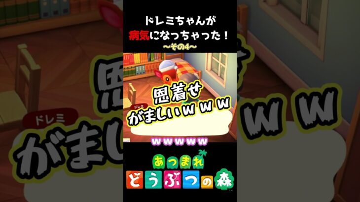 【 #あつ森 】ドレミちゃんが病気になっちゃった！～その4～ #shorts #あつまれどうぶつの森  #切り抜き #ゲーム実況 #ゲーム #けいとかんな劇場