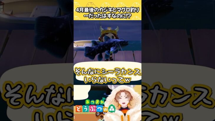 シーラカンス釣れまくり⁉4月最後のカジキ・マグロ釣りだったはずなのに・・・【 #あつ森 】 #shorts