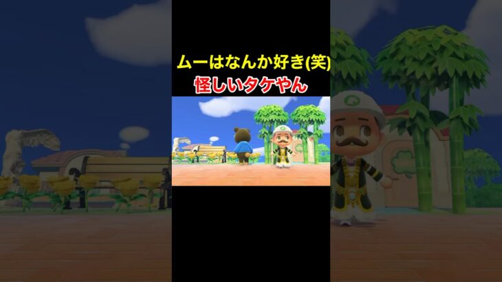 【怪しいタケやん(笑)あつ森#402】#shorts#switch#あつ森#あつまれどうぶつの森#ゲーム