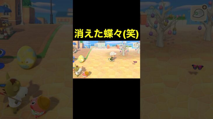 【消えた蝶々(笑)あつ森#403】#shorts#switch#あつ森#あつまれどうぶつの森#ゲーム