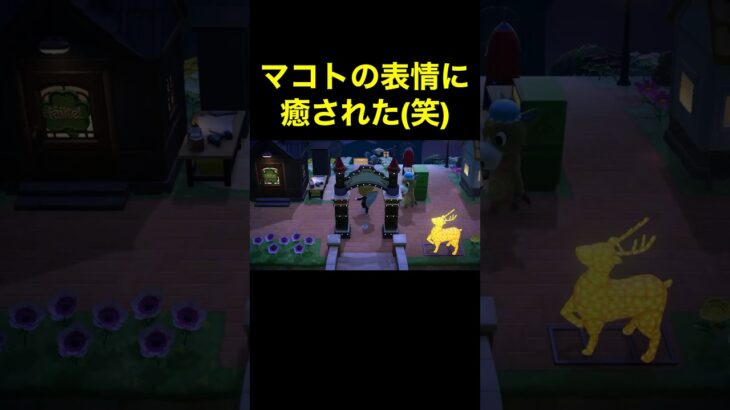 【マコトの表情(笑)あつ森#417】#shorts#switch#あつ森#あつまれどうぶつの森#ゲーム