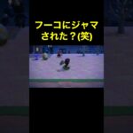 【フーコ〜(笑)あつ森#418】#shorts#switch#あつ森#あつまれどうぶつの森#ゲーム