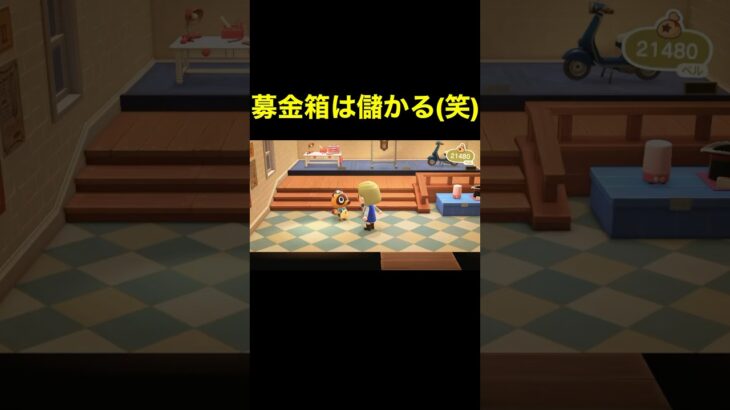 【募金箱は儲かる(笑)あつ森#430】#shorts#switch#あつ森#あつまれどうぶつの森#ゲーム