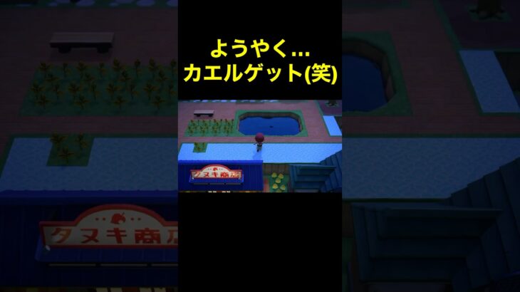 【ようやく(笑)あつ#433】#shorts#switch#あつ森#あつまれどうぶつの森#ゲーム