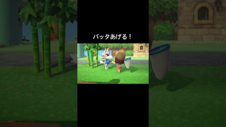 5歳児の扱い[あつ森]