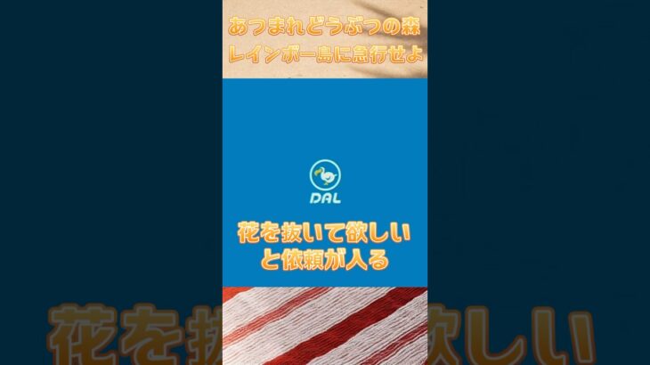 あつまれどうぶつの森【レインボー島に急行せよ‼︎島の評価5にしたい‼︎】 #ベイビーやしのき大冒険 #あつ森b.y.d