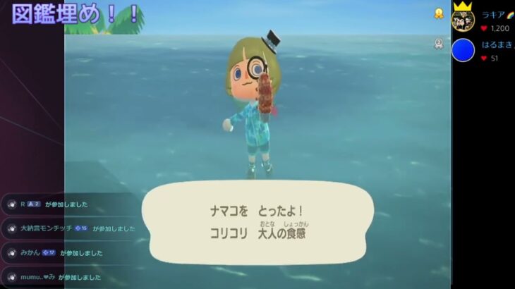 【どう森】5/18あつ森定期配信【あつ森】