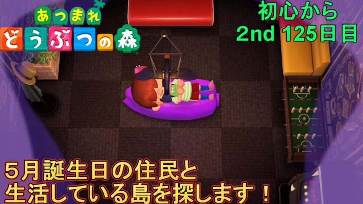 【あつまれどうぶつの森/あつ森】ランダム夢見で5月が誕生日の住民さんを島を探しにいきます🏝★2年目も初心を忘れず楽しんでいく社会人125日目 【生配信】