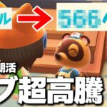【あつ森】5/24（土）朝活カブ活ライブ配信！カブ高騰！雑草抜き・迷路！【あつまれどうぶつの森】