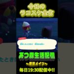 5/26 ラコスケの毎日金言 #あつ森 #ゲーム実況 #名言 #shorts