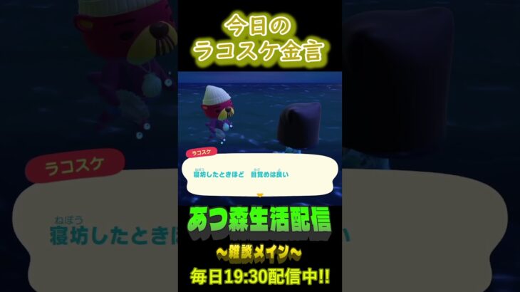 5/26 ラコスケの毎日金言 #あつ森 #ゲーム実況 #名言 #shorts