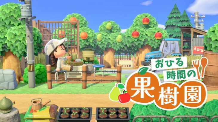 【あつ森】果物5種類採れるコンパクトな果樹園と通路を作る【マイデザなし島クリエイト】田舎島6