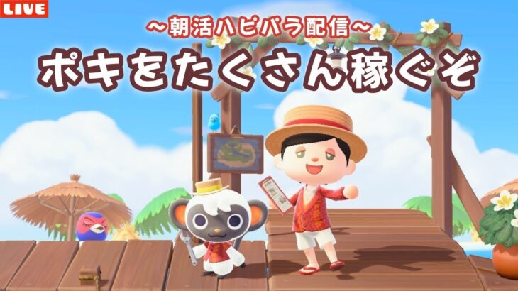 【あつ森】朝活！6×6縛りでお部屋作り！ポキをたくさん稼ぎたいハピパラLIVE配信！【あつまれ どうぶつの森】