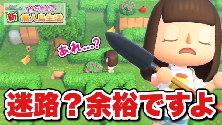 【あつ森】巨大迷路なんてちょちょいのちょいやで！#76【あつまれどうぶつの森】
