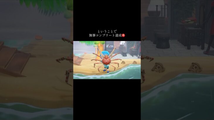 【あつ森】図鑑コンプ🦀海の幸  #あつ森 #どうぶつの森 #ACNH #동물의숲 #AnimalCrossing #あつ森島クリ #あつ森レイアウト #ゲーム実況 #ゲーム好きと繋がりたい