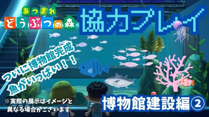 【無言配信】姉弟ではじめての【あつ森】協力プレイ～博物館建設編②～【ASMR】