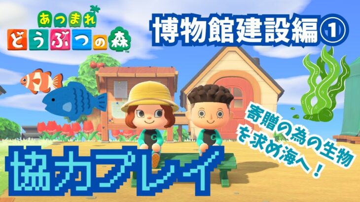 【無言配信】姉弟ではじめての【あつ森】協力プレイ～博物館建設編①～【ASMR】