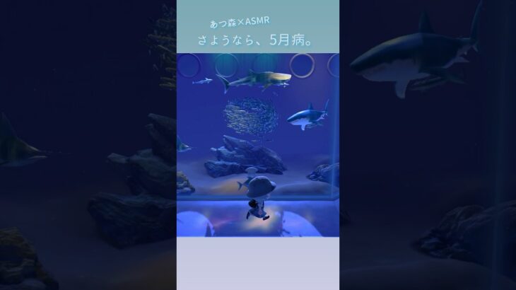 【あつ森 ASMR】博物館を歩く音②(水の生き物エリア)【声なし】#あつ森 #あつまれどうぶつの森 #asmr #足音 #作業音 #作業asmr #睡眠 #睡眠導入 #acnh