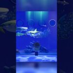 【あつ森】 夜の博物館ツアー【Animal Crossing New Horizons】