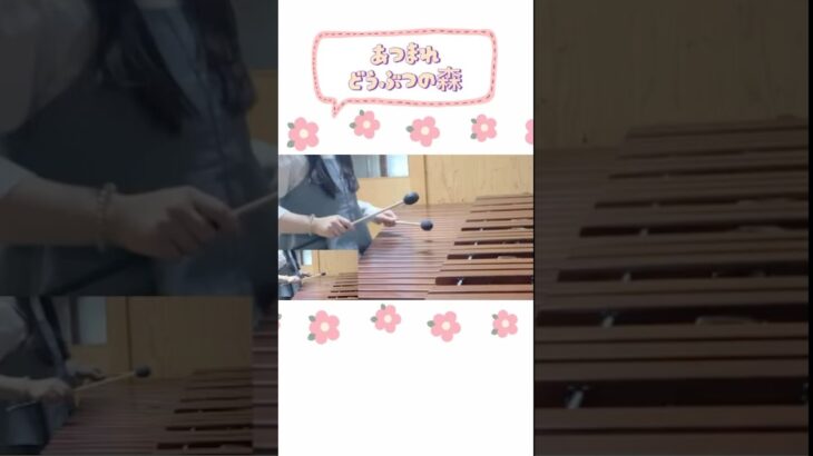 【あつまれどうぶつの森BGM】演奏してみた🎶