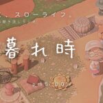 【睡眠・作業用BGM】あつ森雑談ラジオ｜夕方リラックスさんぽ_PM5時～6時のBGM《まったり島生活配信》