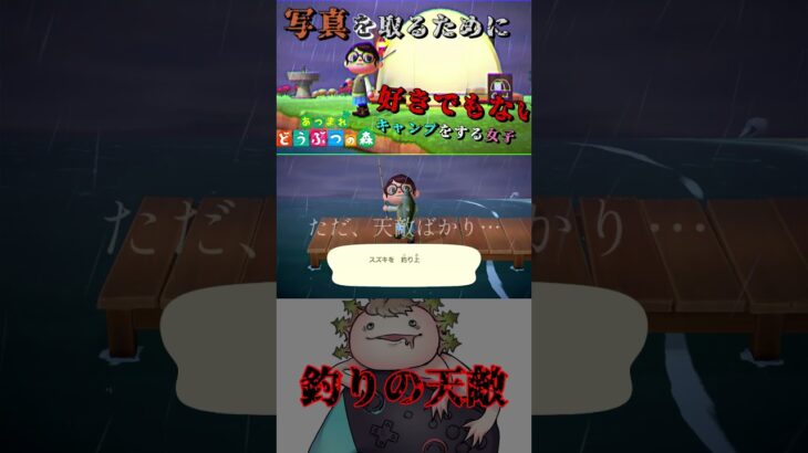 あつ森【釣りの天敵】#あつまれどうぶつの森#あつ森#どうぶつの森#かふぃー#かふ#Kafyee