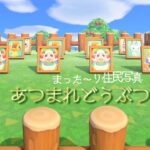 LIVE【あつ森】住民写真（時間操作あり）　あつまれどうぶつの森♪