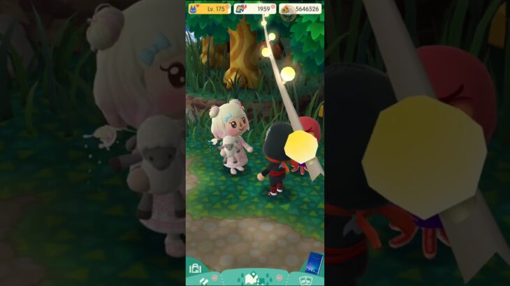 M_250511-1 #AnimalCrossing #AnimalCrossingNewHorizons #ポケ森 #PocketCamp #acnh #ゲーム #あつ森 #Games #動物森友會