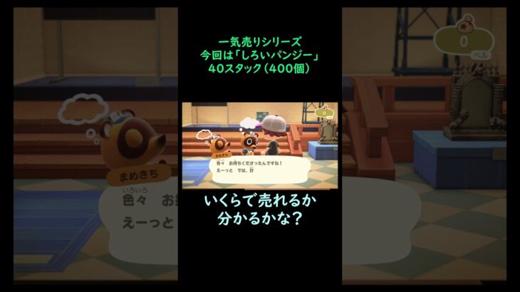 【あつ森】　一気売り シリーズ  Part1249 今回は 【しろいパンジー】 40スタック いくらか分かるかい？