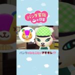 【あつ森アニメ】パンタのひとことにちーにゃブチギレ！？　#Shorts #あつ森