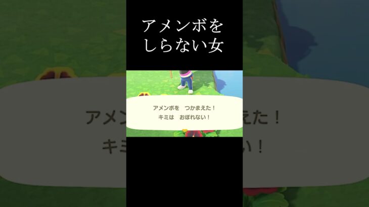 アメンボをしらない女 #あつ森 #あつまれどうぶつの森 #ゲーム実況#Shorts
