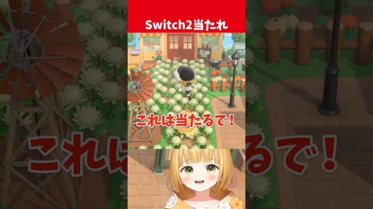 【願望】コレをきればSwitch2が当たる！【あつ森】