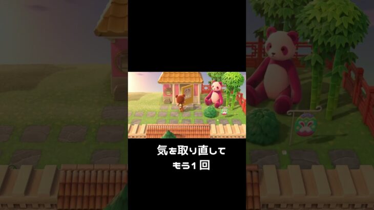 【あつ森】住民から強い意志を感じる瞬間💪プレゼントを渡したい島民代表VS拒絶する住民　#shorts